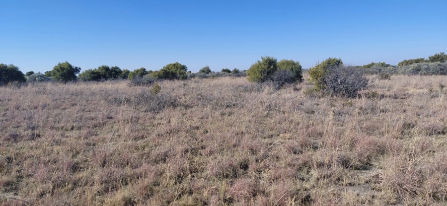 Commercial Property for Sale in Reivilo Northern Cape